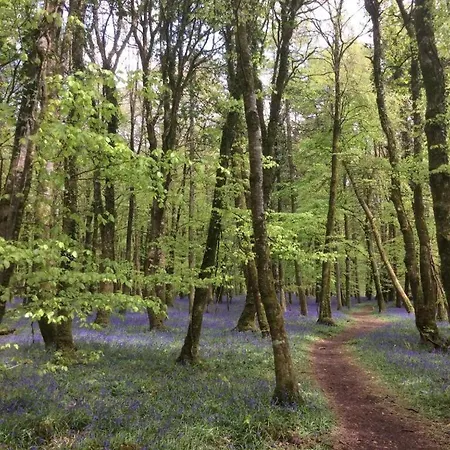 度假居 Kilronan 4 Bed House On Castle Grounds *