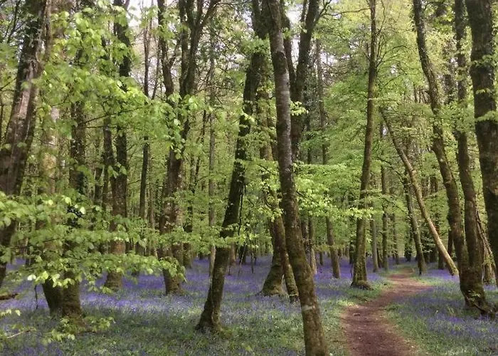 Nyaraló Kilronan 4 Bed House On Castle Grounds *